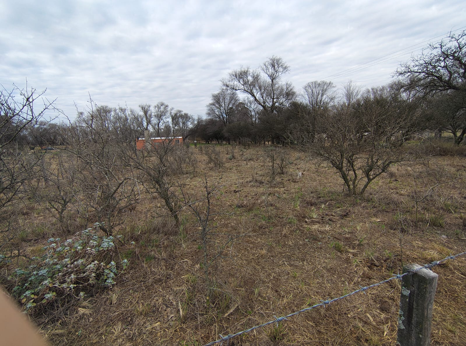 Vendo Terreno Uriburu de 25×50 Malvinas argentinas esquina Saavedra. USD 6500 se acepta permuta o se puede financiar. Impuestos al día y servicios Luz y Agua